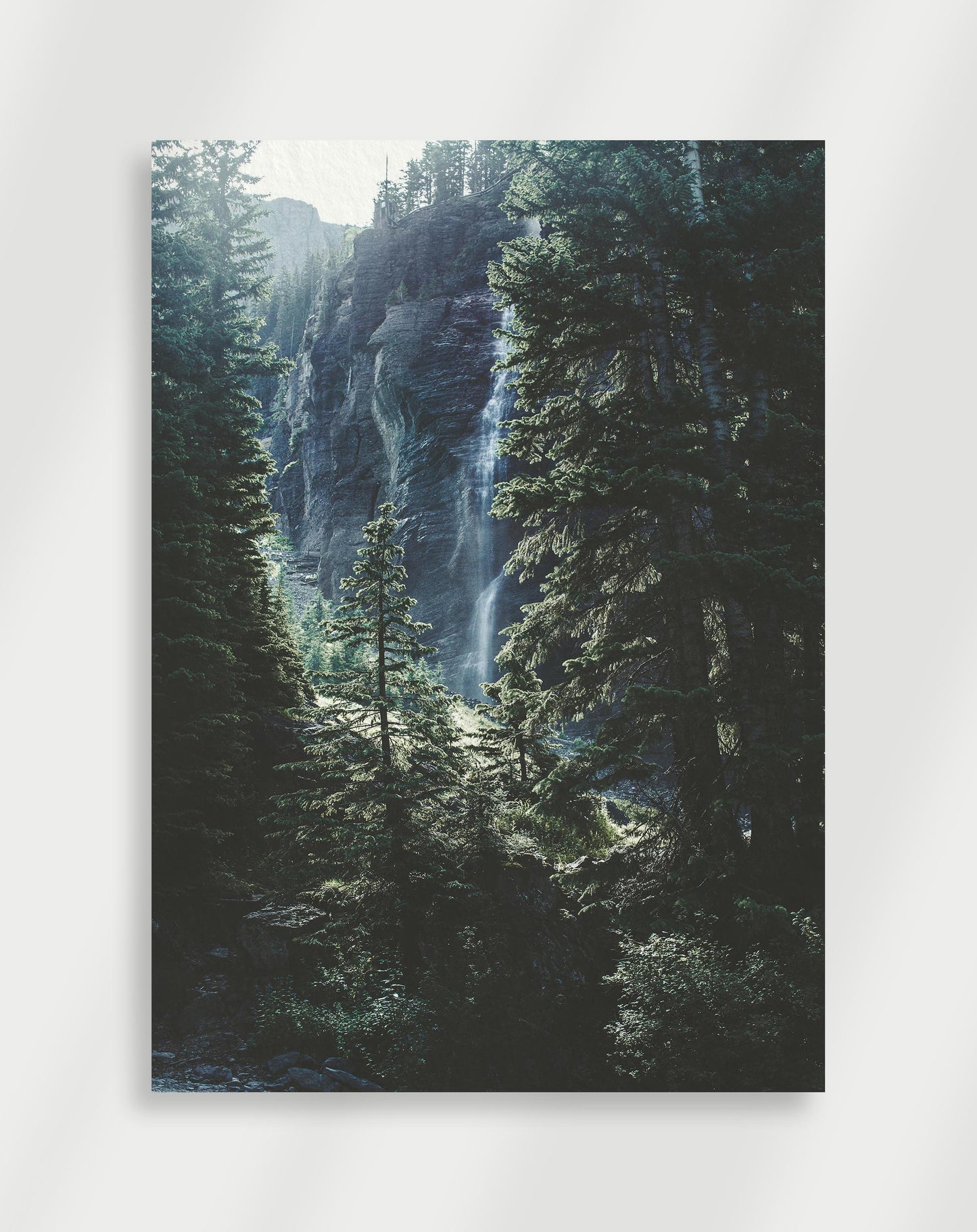 Skogs Poster
