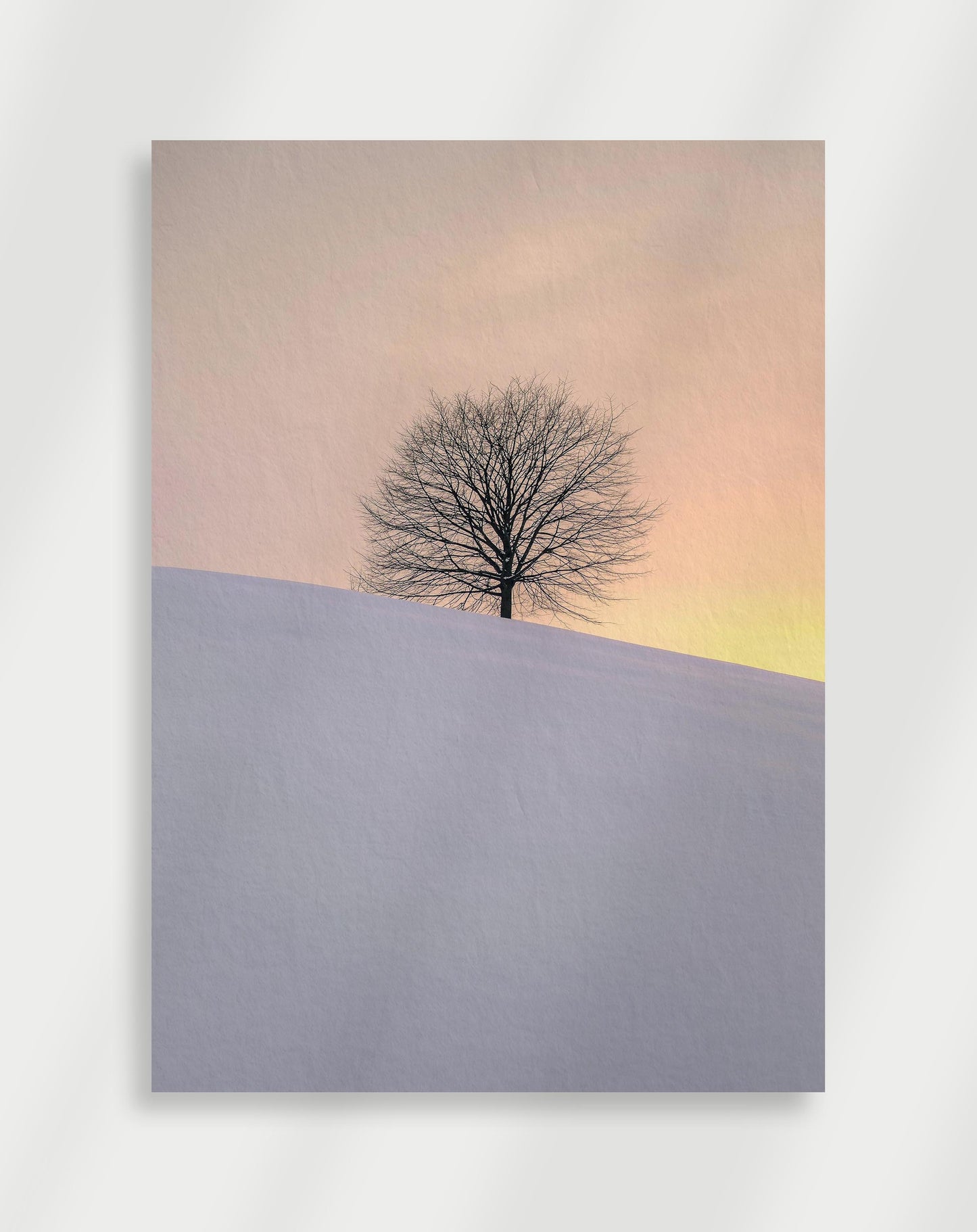 Snö Poster