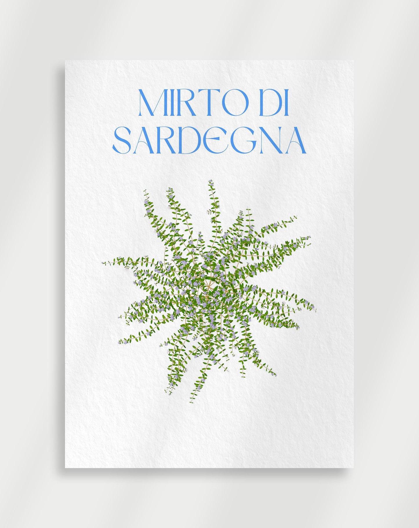 Mirto di Sardegna-poster