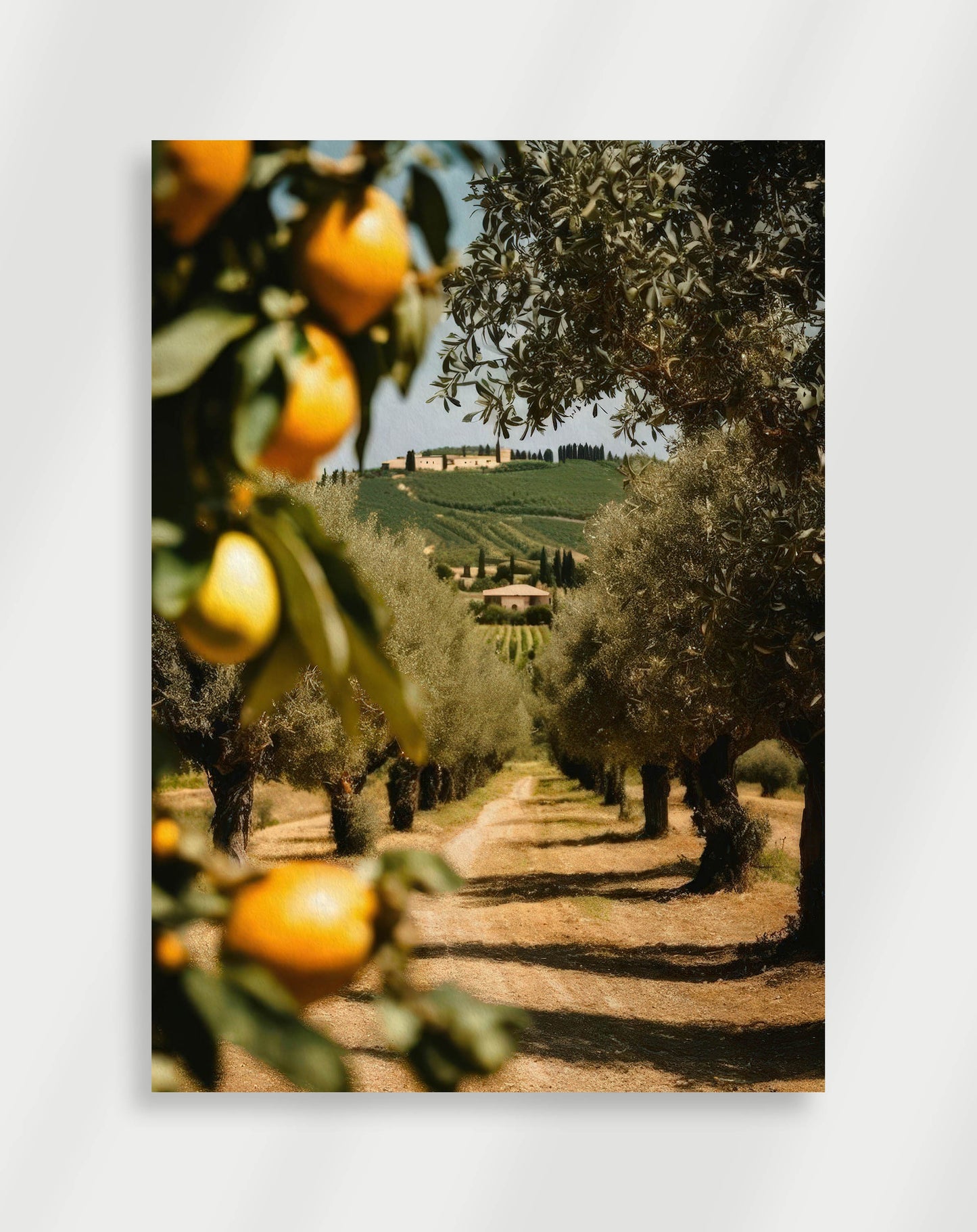 Citron Farm Poster
