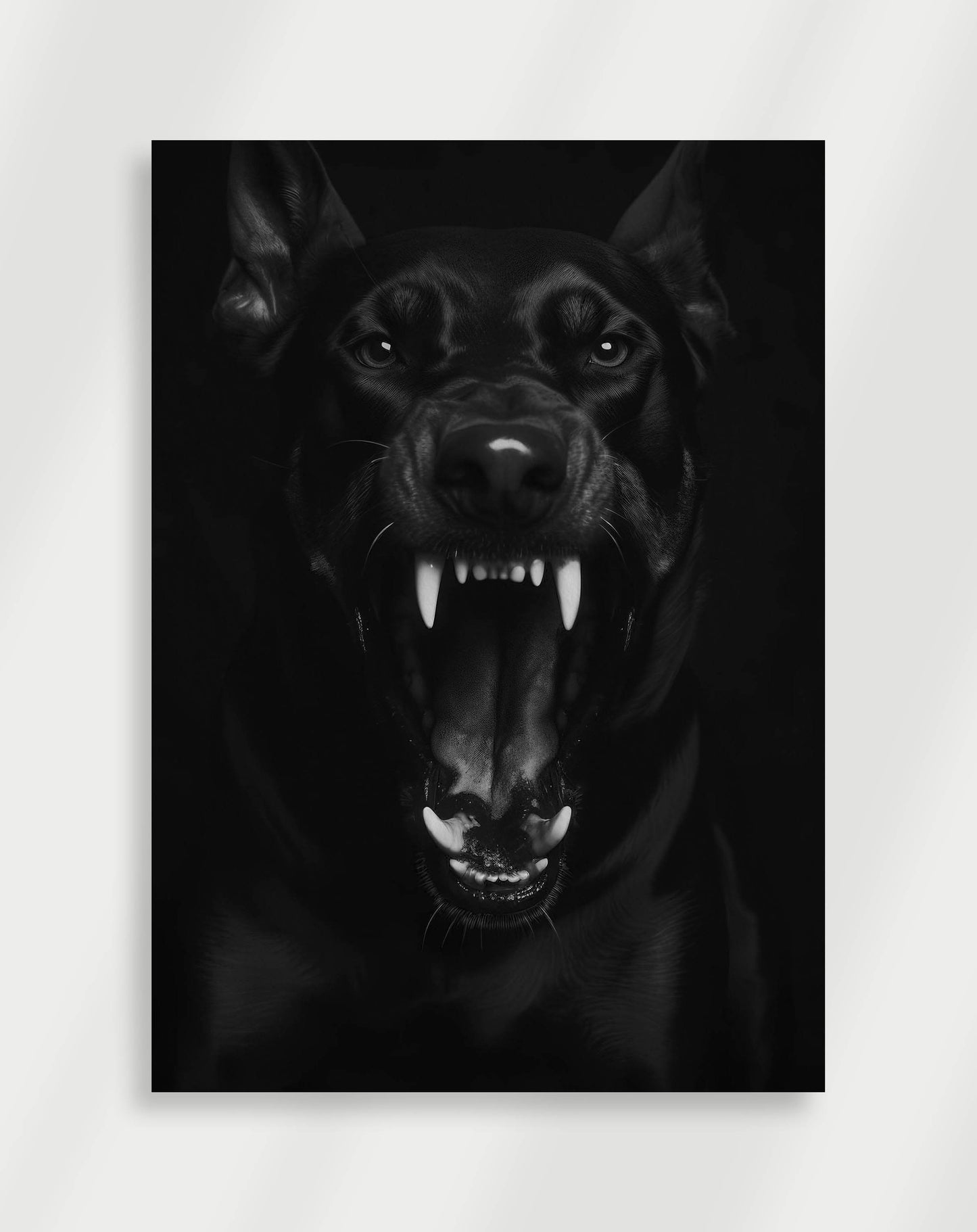 Hund Svartvit Poster