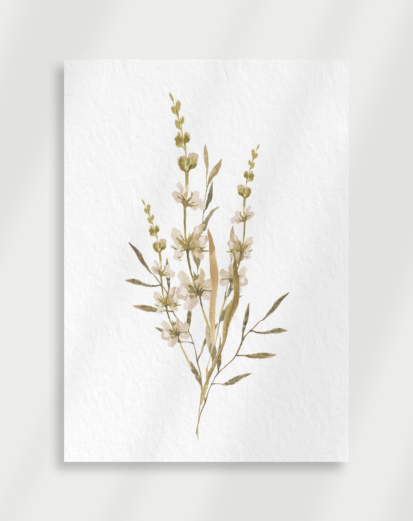 Botanisk Poster