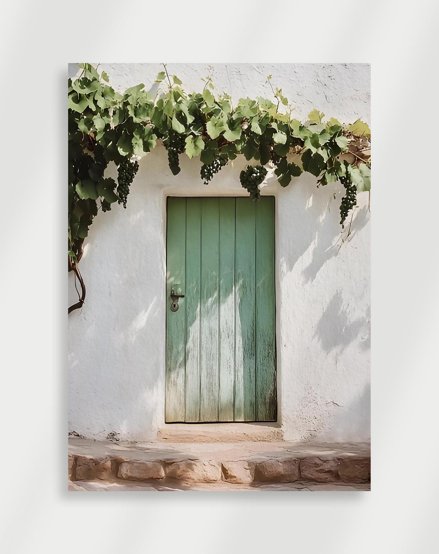 Green door on a white wall Poster