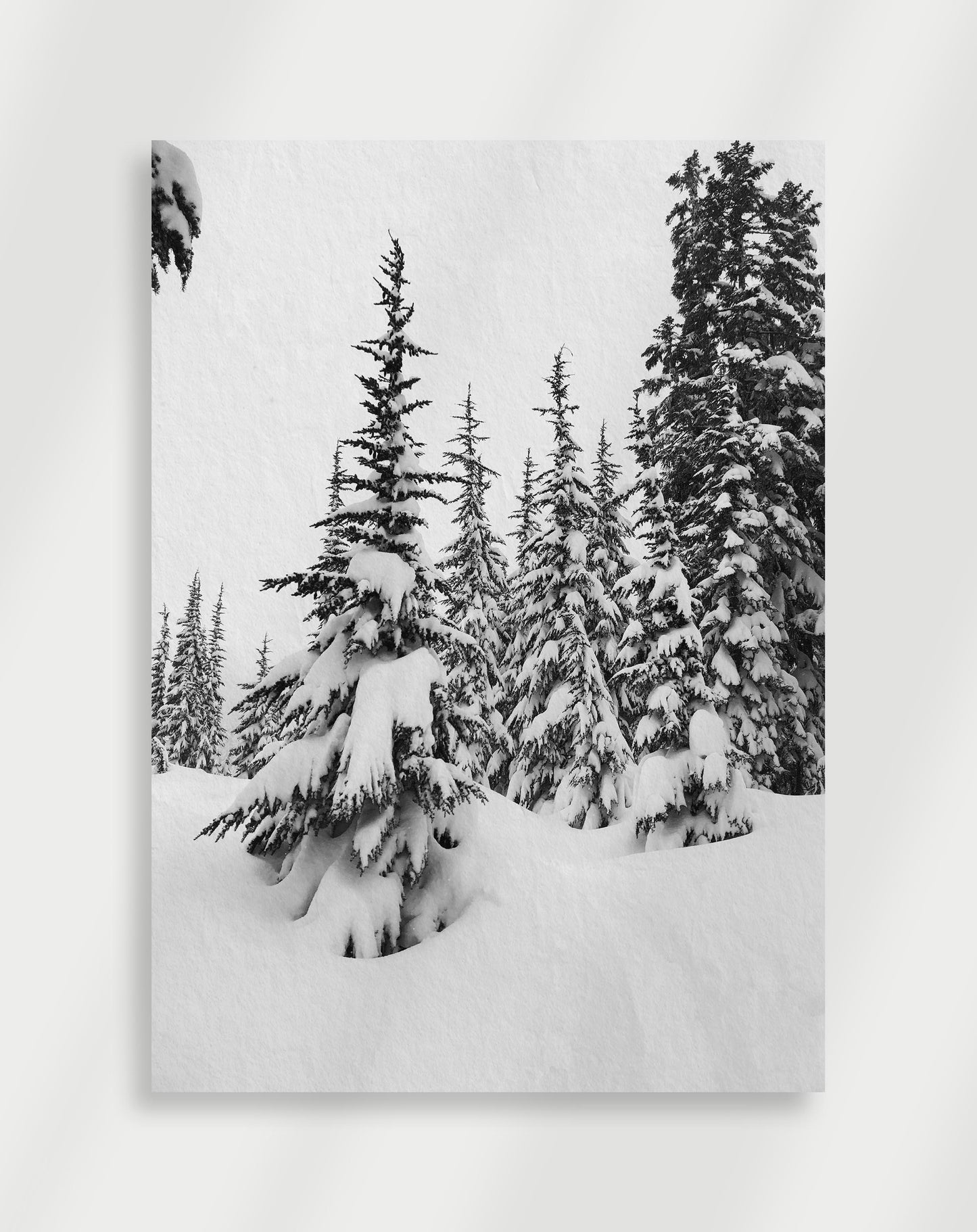 Snöiga träd Poster