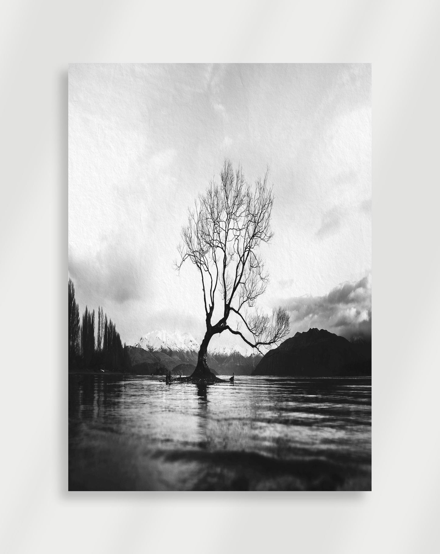 Träd Poster