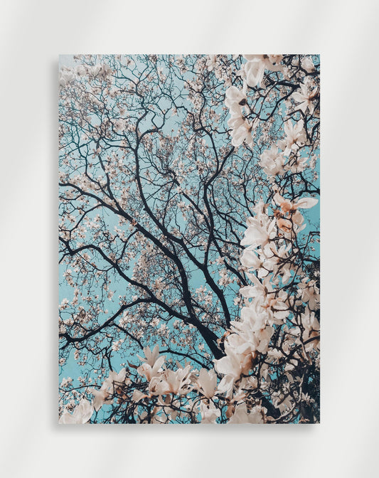 Flower Poster