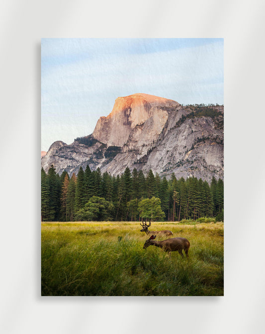Berg Poster