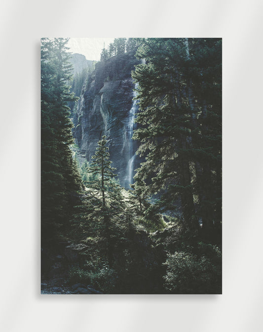 Skogs Poster