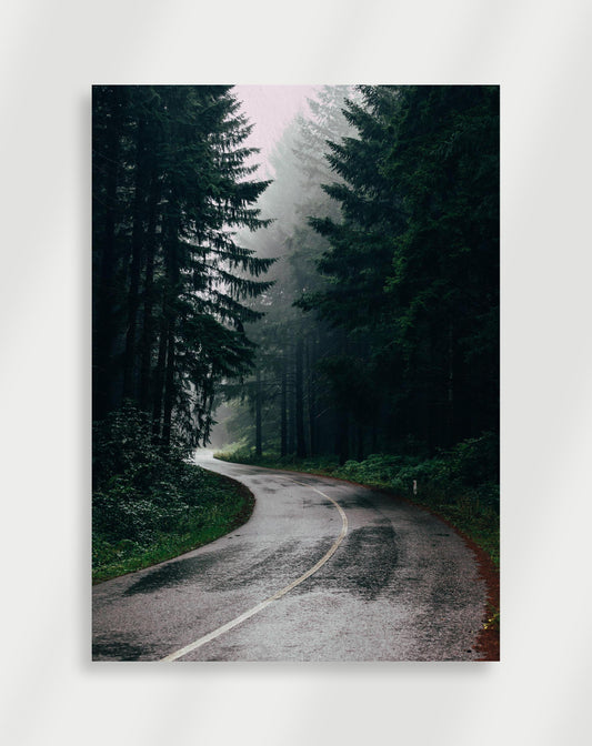 Skogsväg Poster