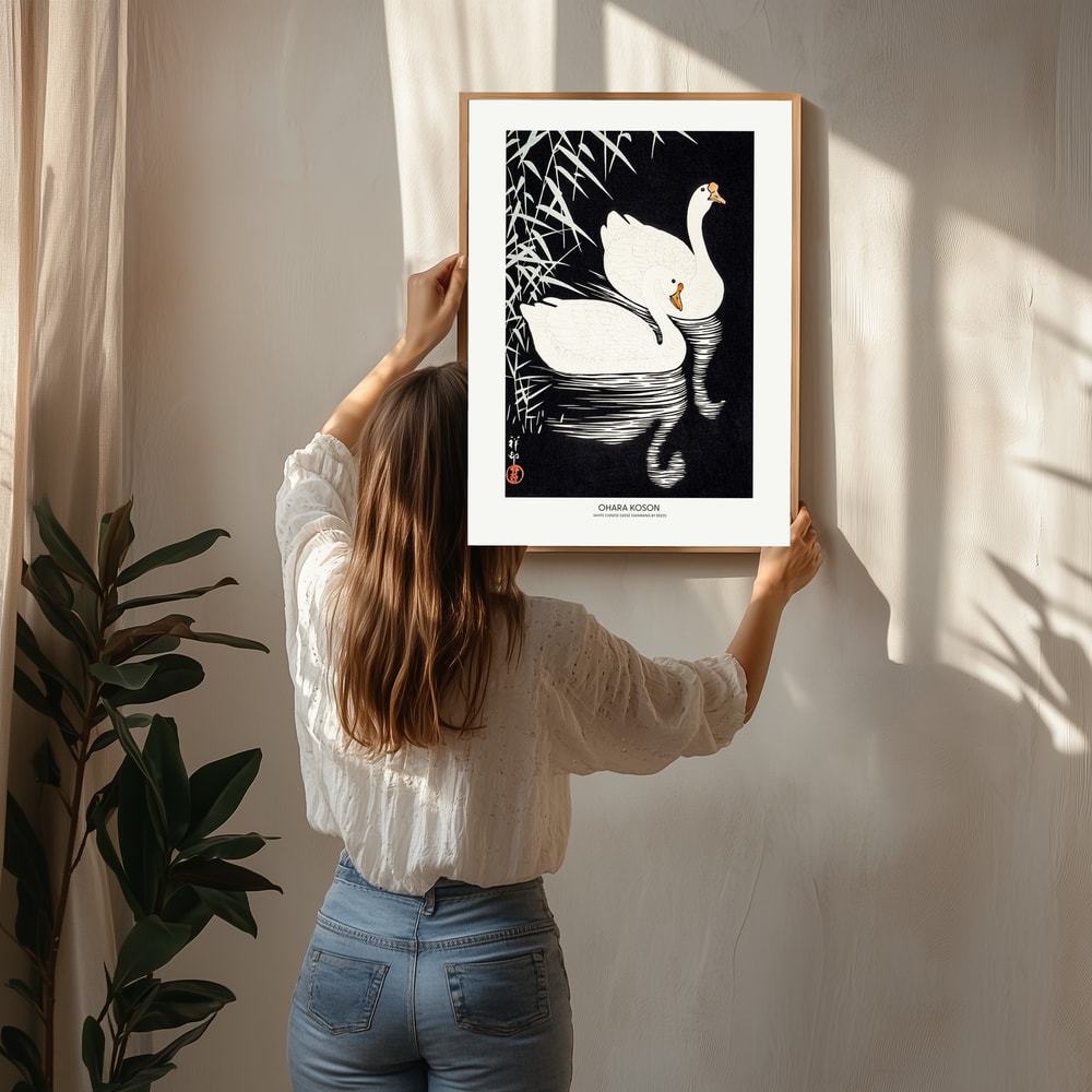 Vit kinesisk gås simmar bland vass Poster