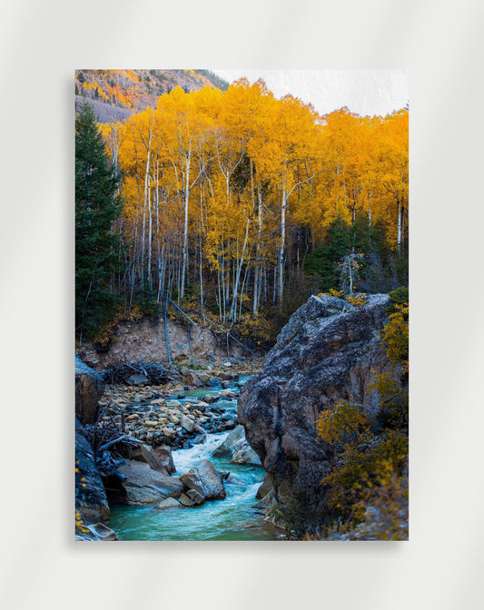 Skogs Poster