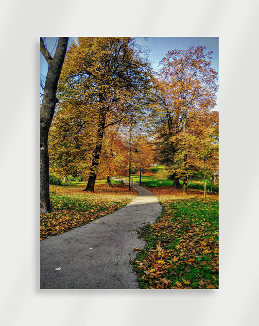 Forest Path Poster