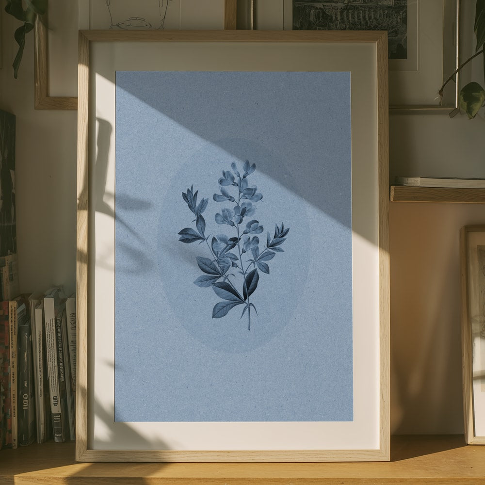 Botanisk i lugnande blått Poster
