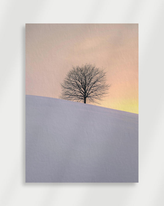Snö Poster