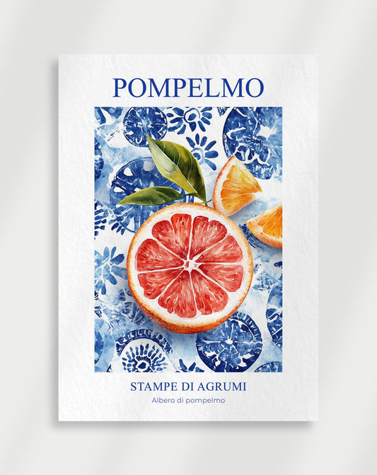 Pompelmo "Stampe di agrumi" affisch