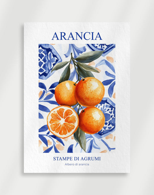 Arancia "Stampe di agrumi" affisch