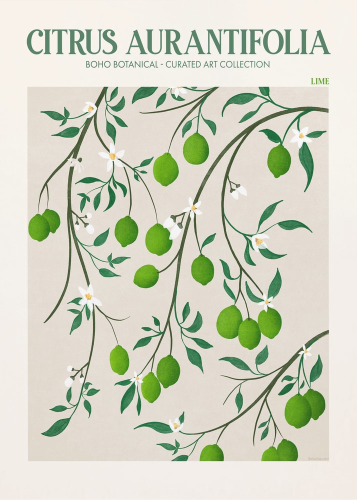 Botanisk Lime Bliss Poster