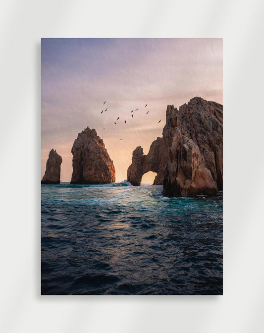 Affisch Havets Poster