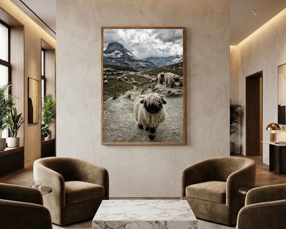 Valais svartnosfår Matterhorn bergs Poster