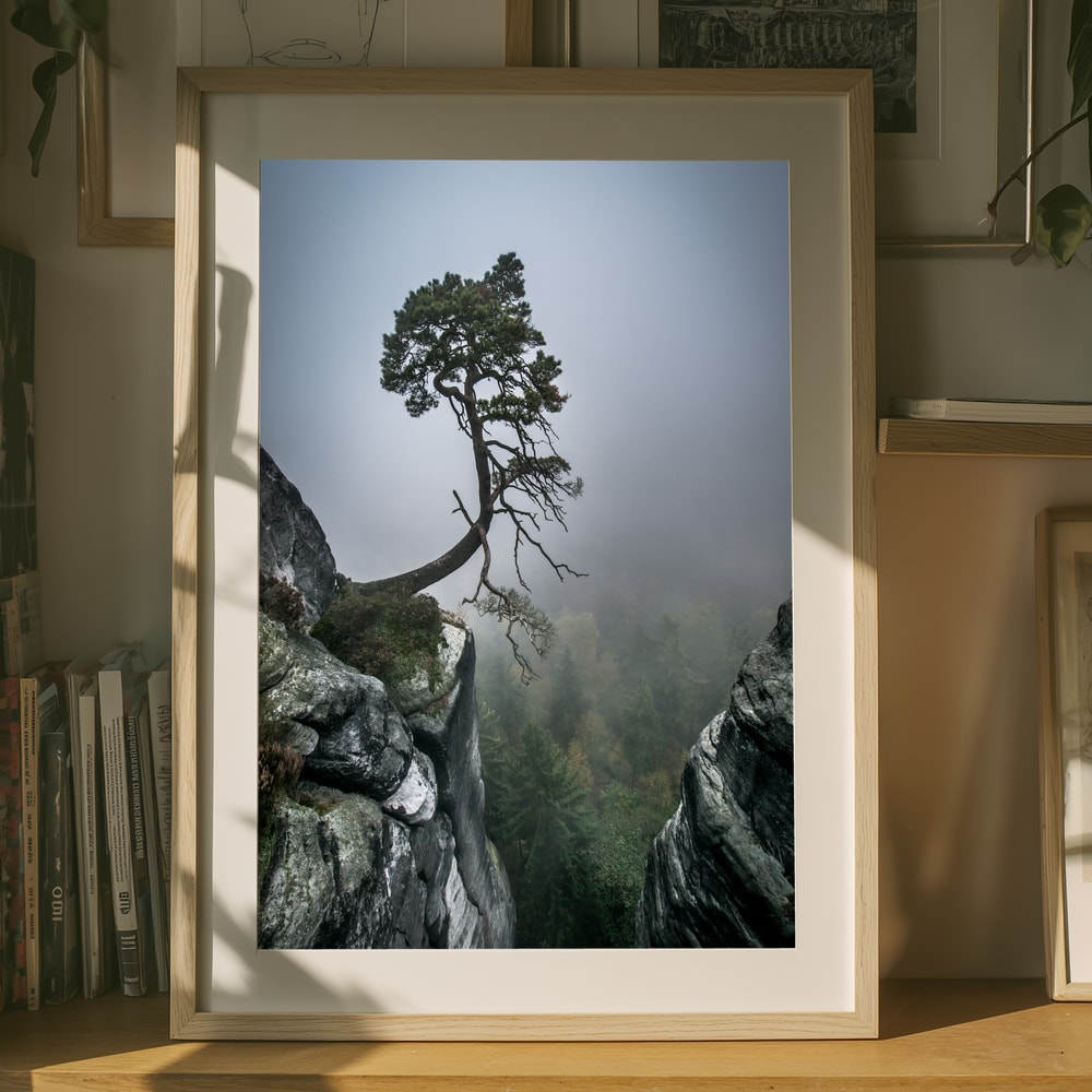 Misty Mountain Pine Poster