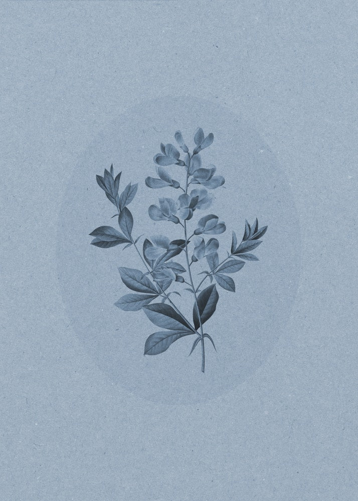 Botanisk i lugnande blått Poster