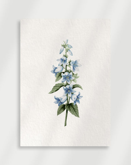 Botanical Poster