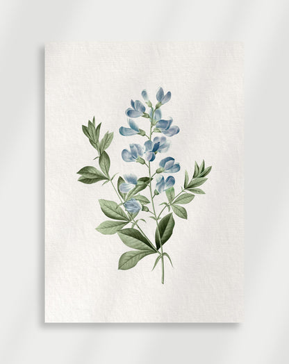 Botanical Poster