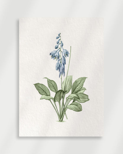 Botanical Poster
