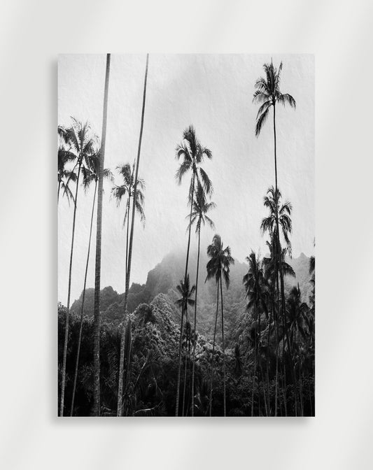 Palms Poster
