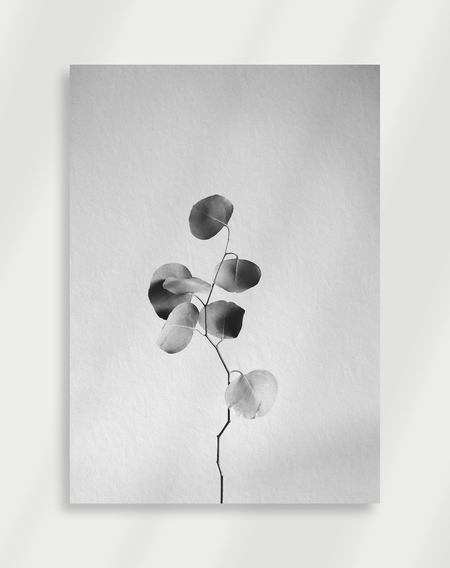 Visnande blomma Poster