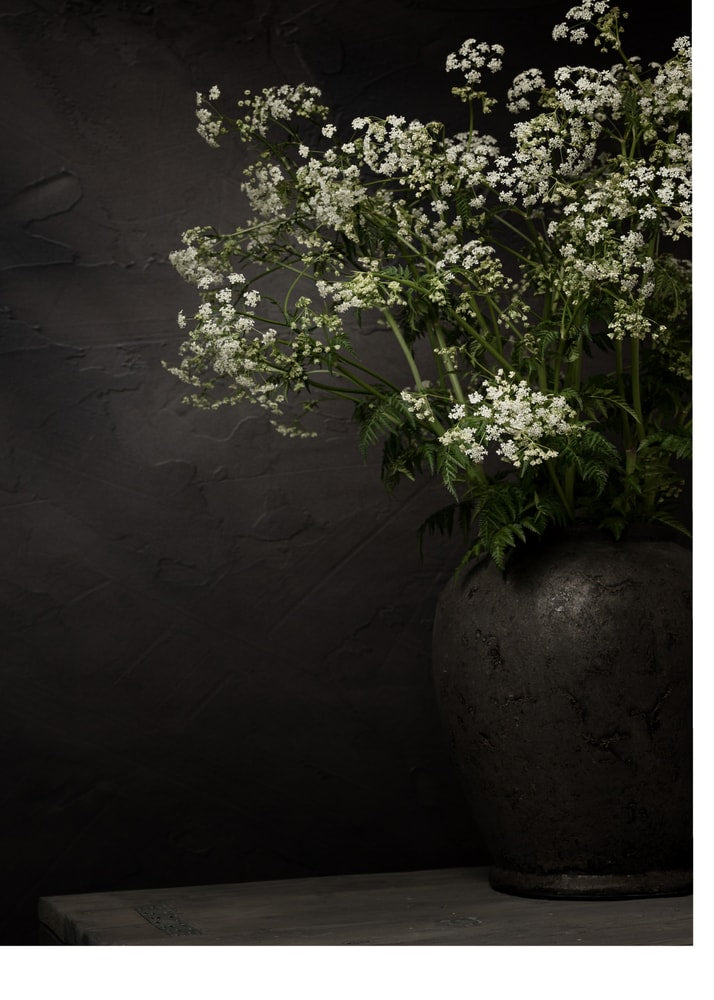 White Wildflower Still Life Poster