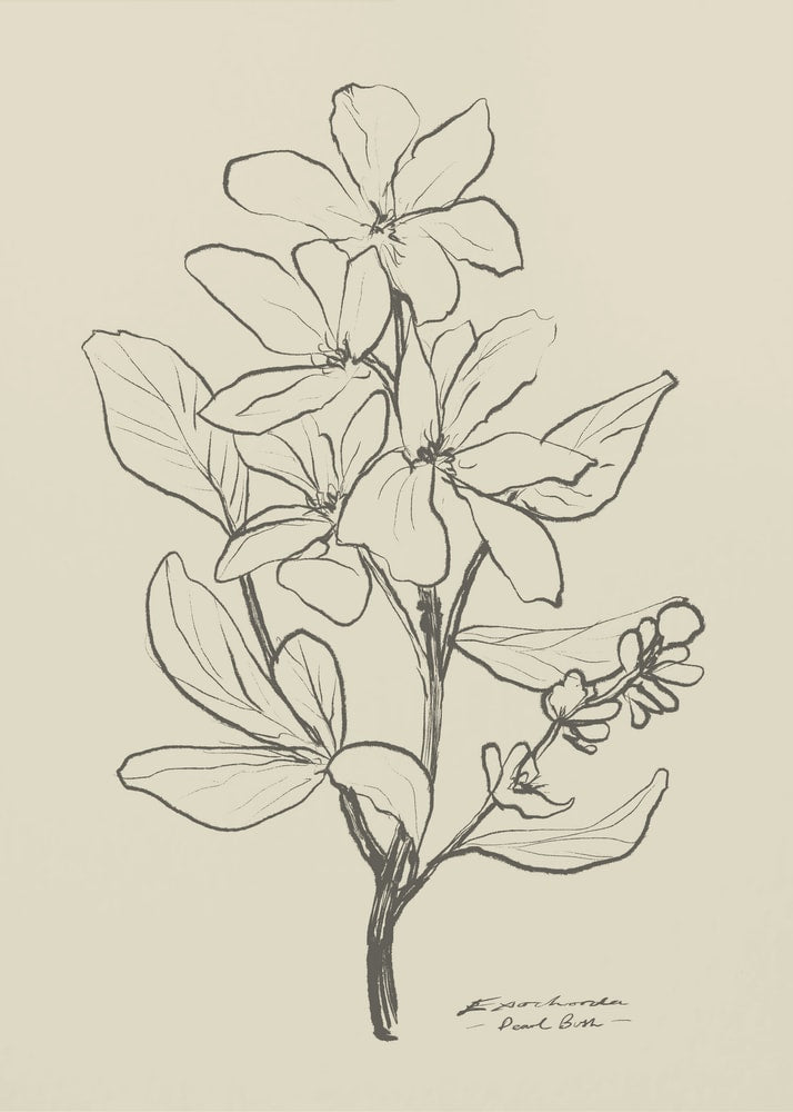 Floral 1 Poster