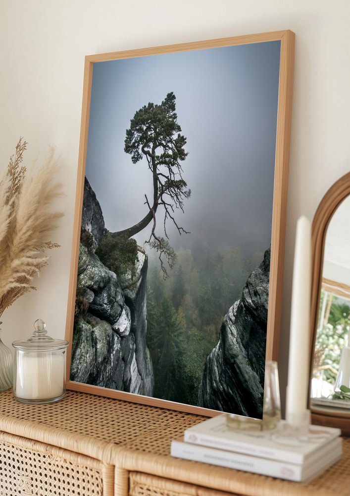 Misty Mountain Pine Poster