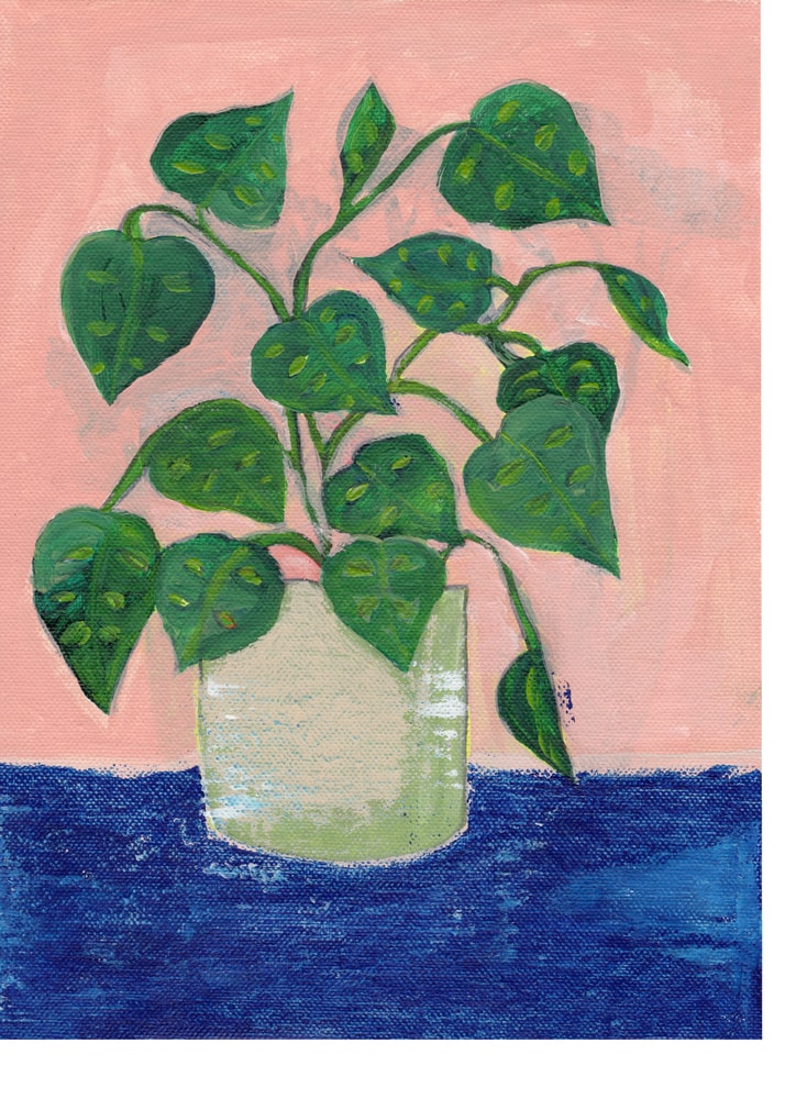 Plakat: Farverig stueplante i potte