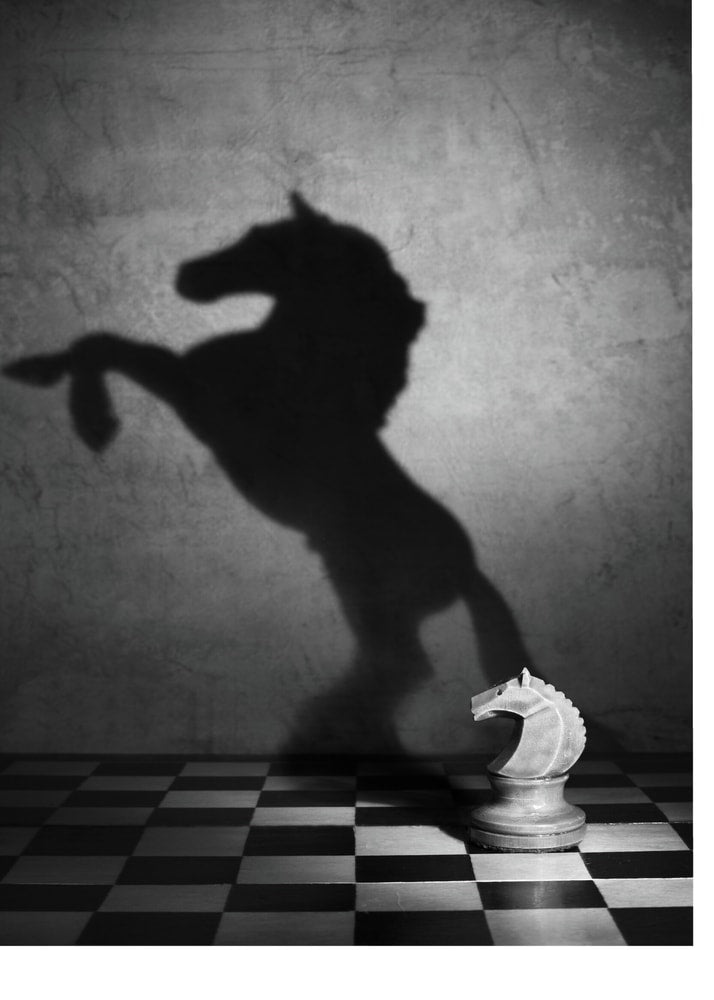 Chess Knight Horse Shadow Poster