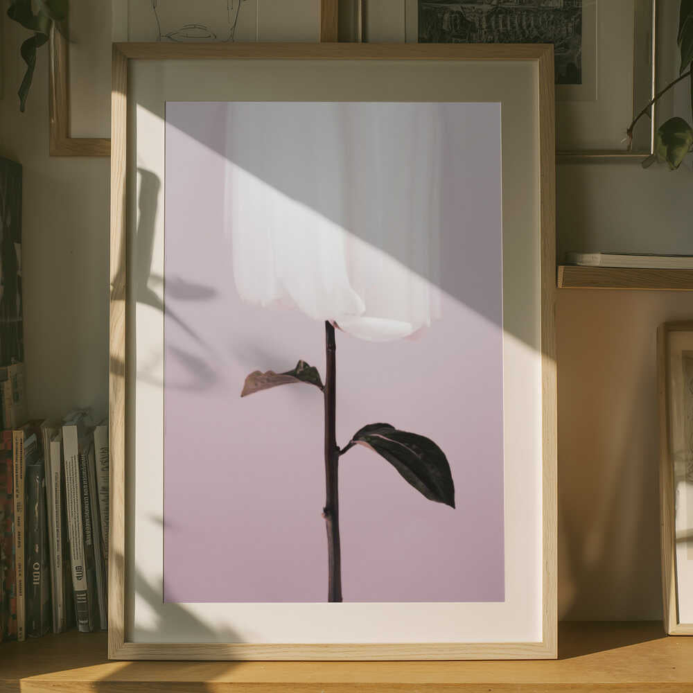 Ethereal White Bloom Poster