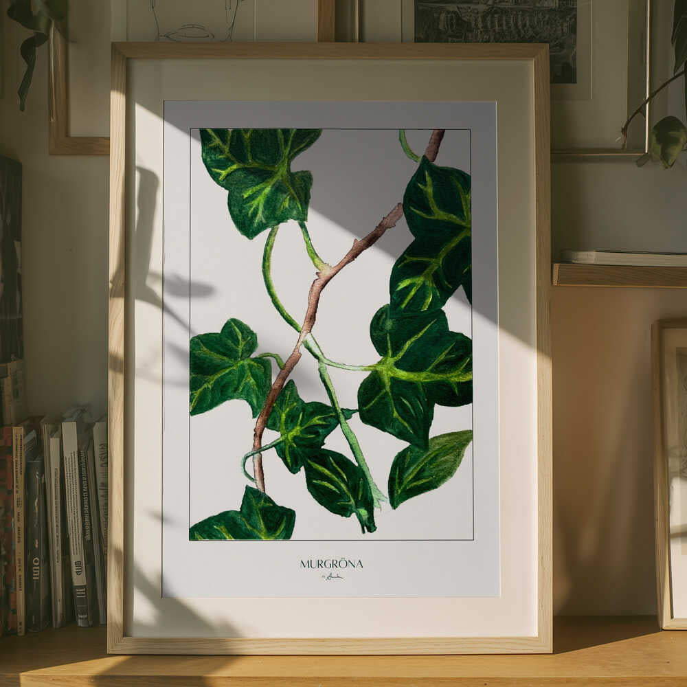Botanisk med grön murgröna Poster
