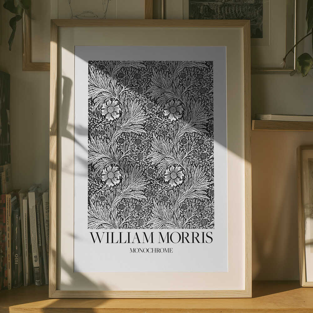 Monokrom Poster med ringblomma