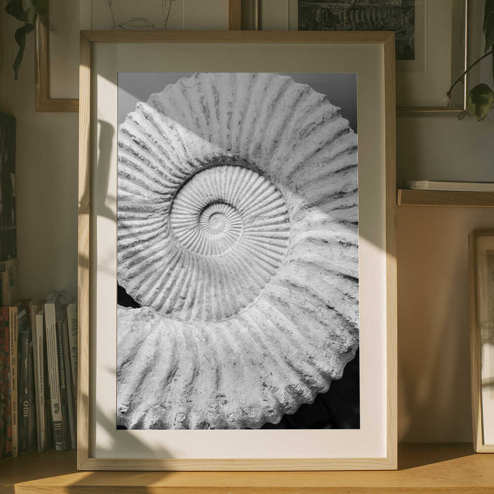 Ancient Spiral Dreams Poster