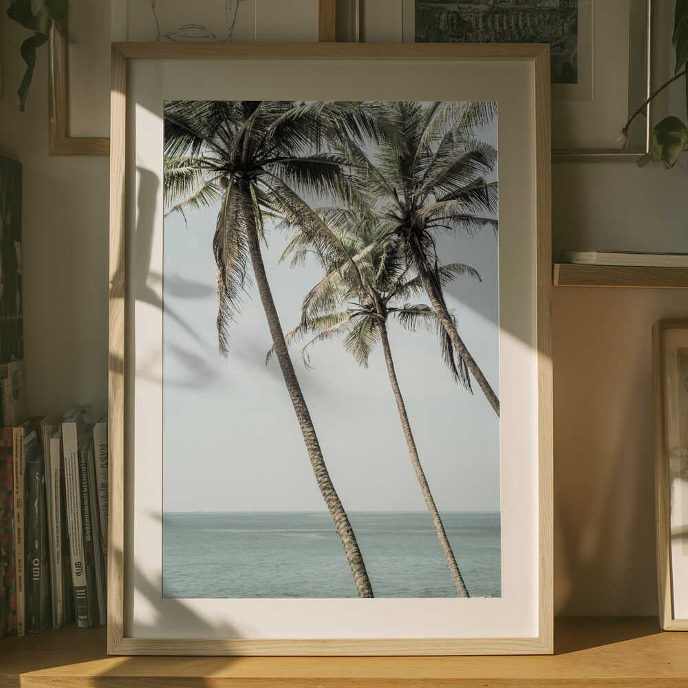 Ocean Breeze Palms Poster