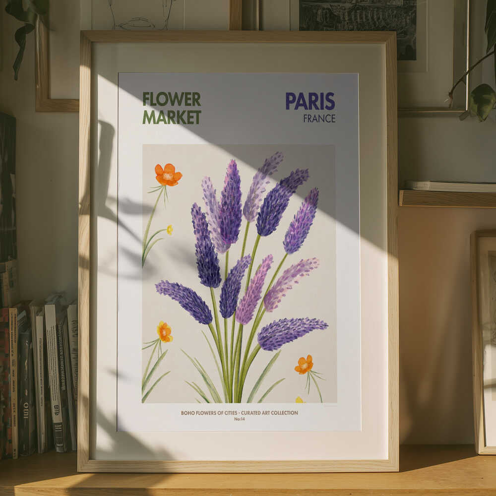 Lavender Blooms Poster