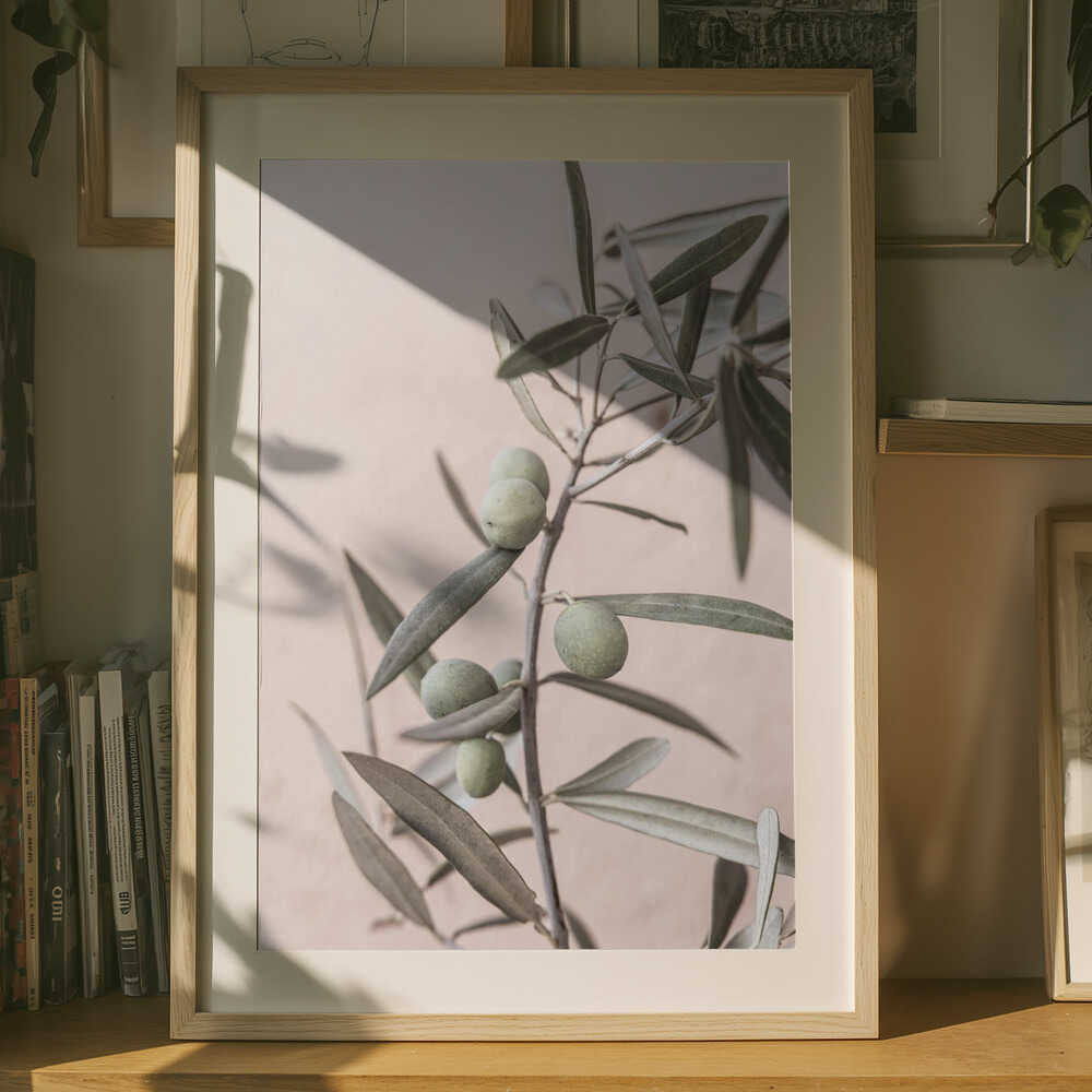 Olives Poster