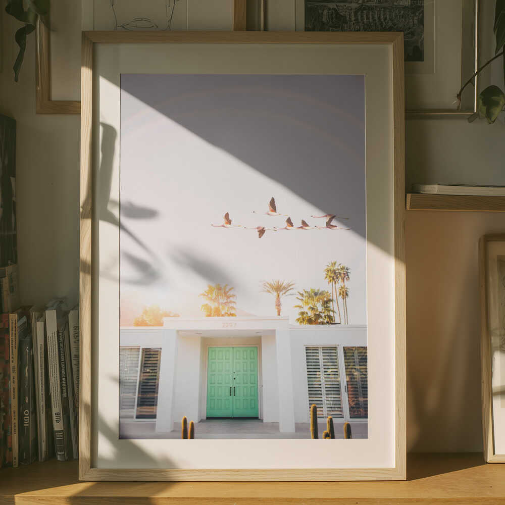 Flamingor i Palm Springs Poster