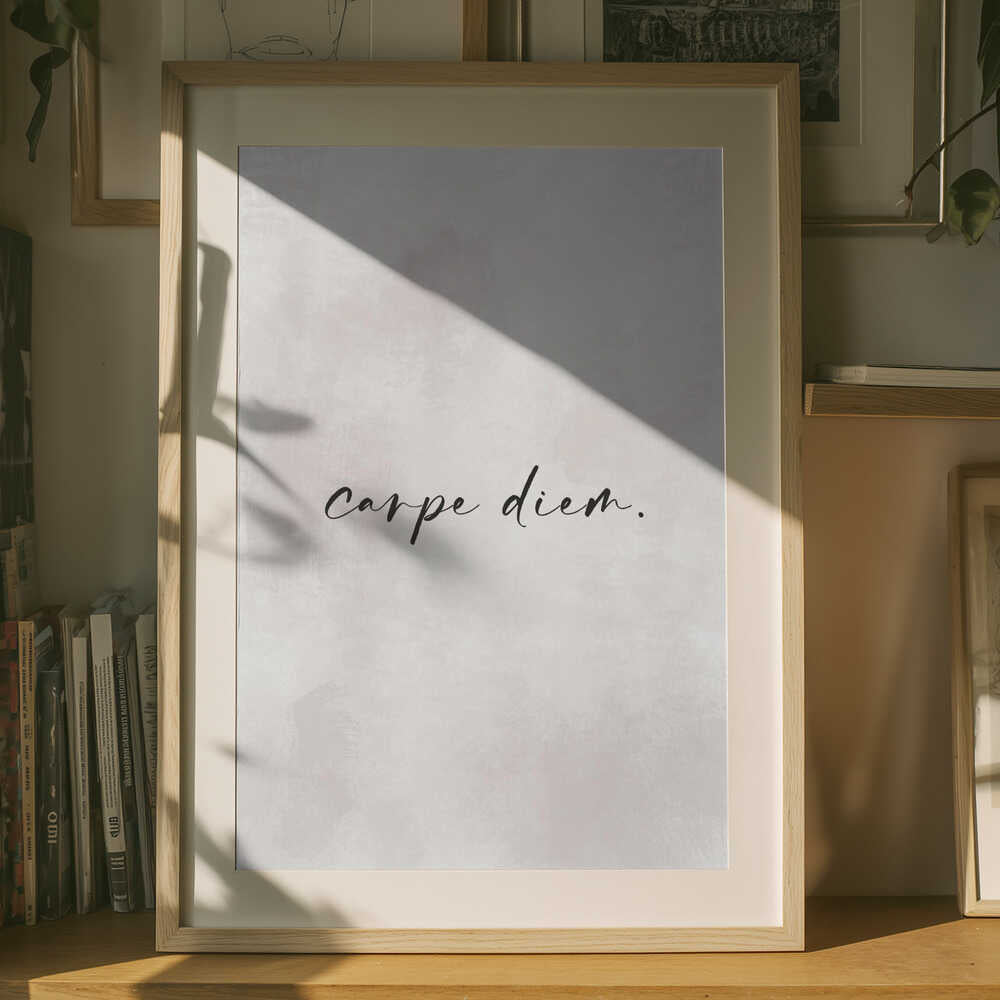 Fånga ögonblicket Poster