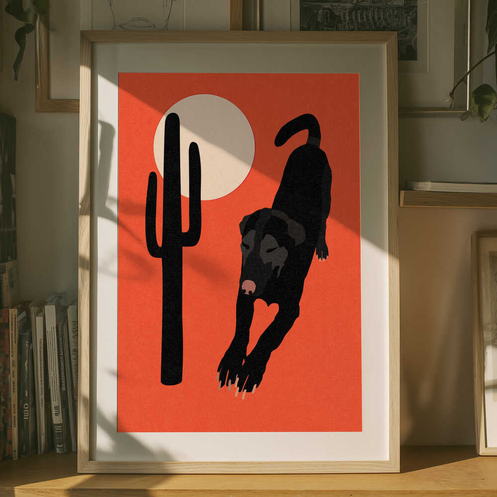 Svart Ökenhund Poster