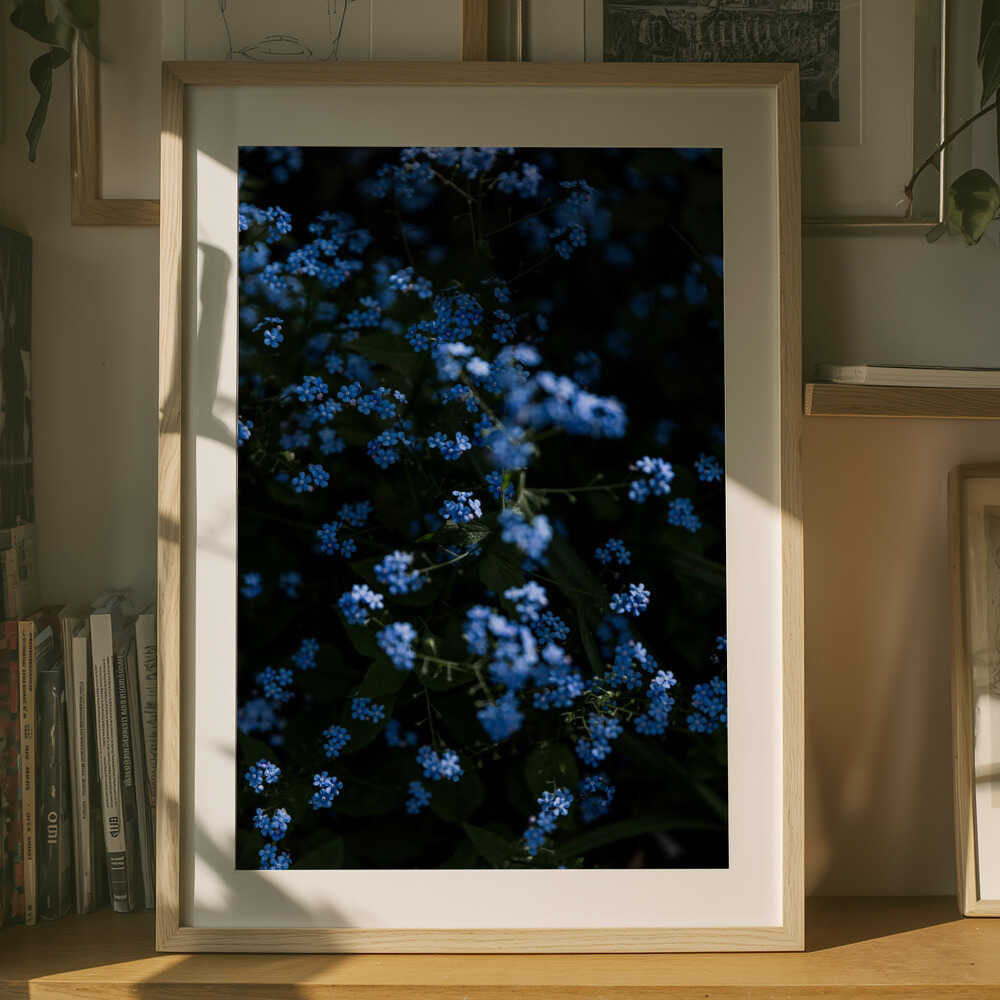 Lugna blå blommor Poster