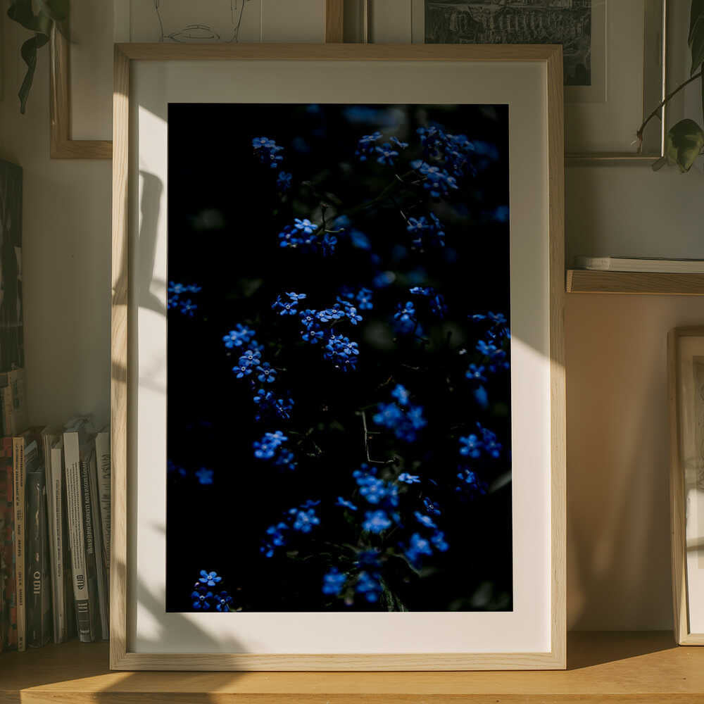 Midnattsblå Blommor Poster