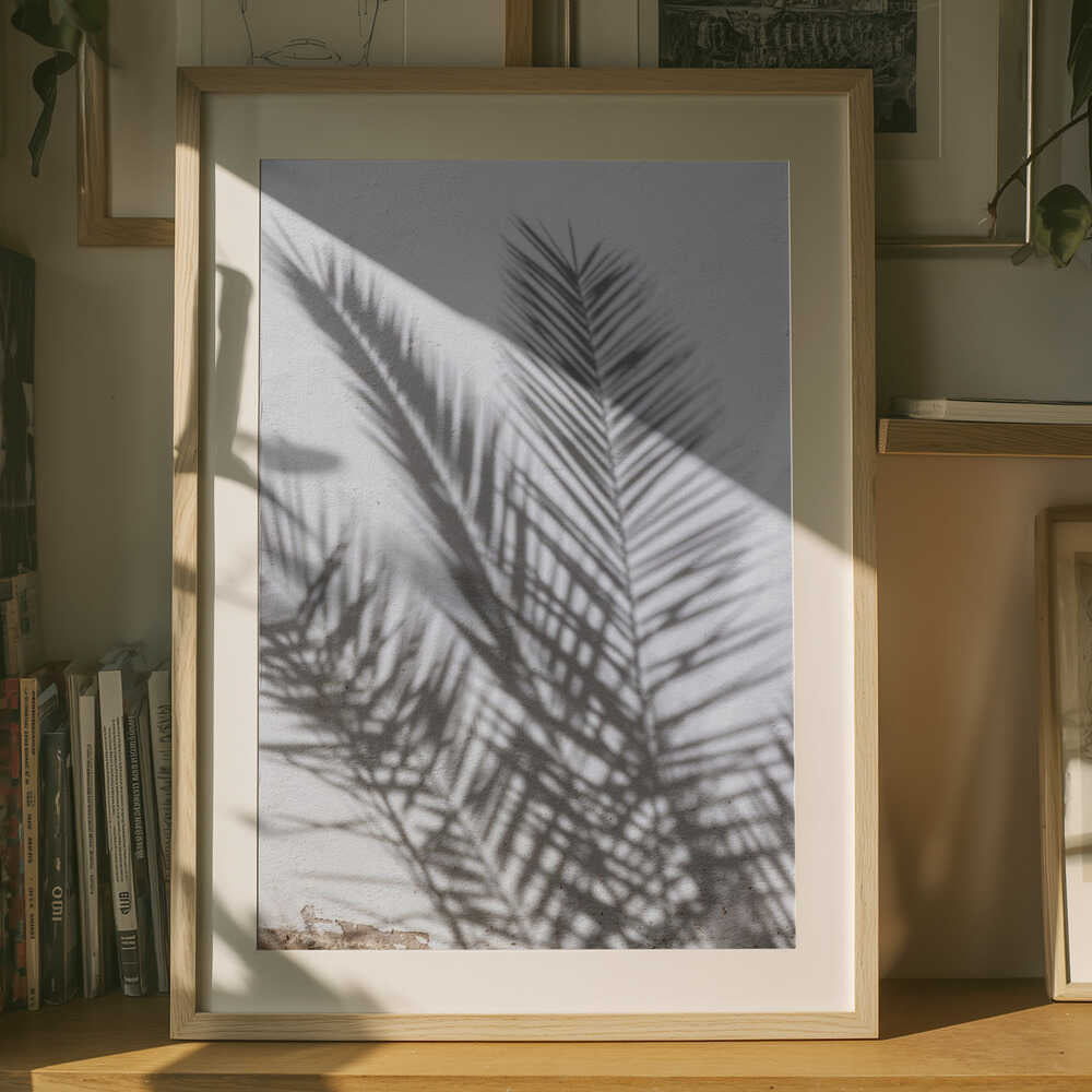 Solbelysta palmskuggor Poster