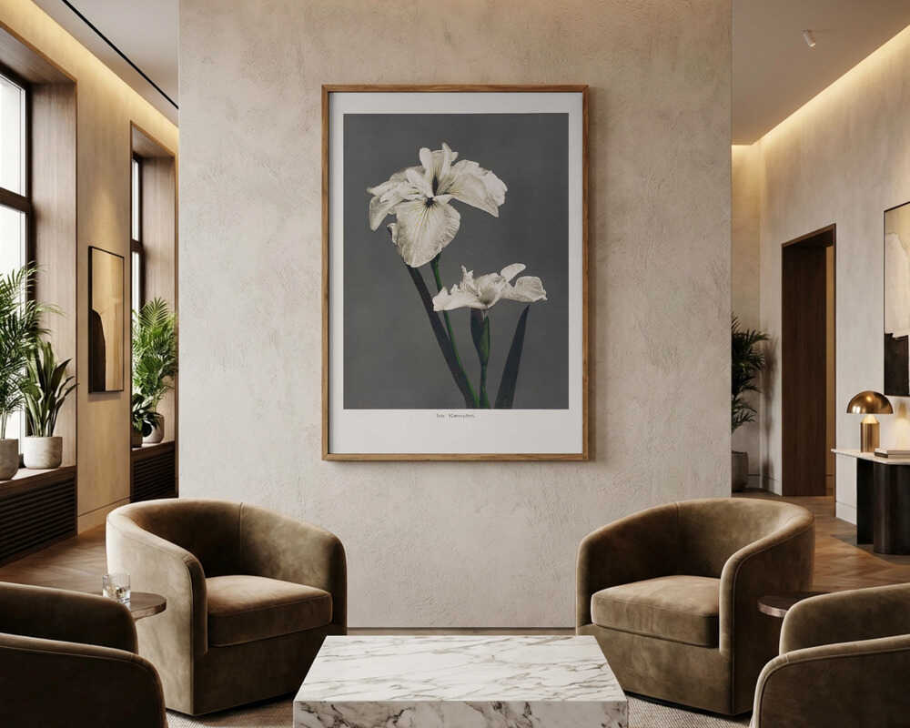 Iris Kæmpferi Poster