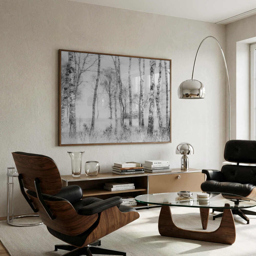 Svartvit Poster